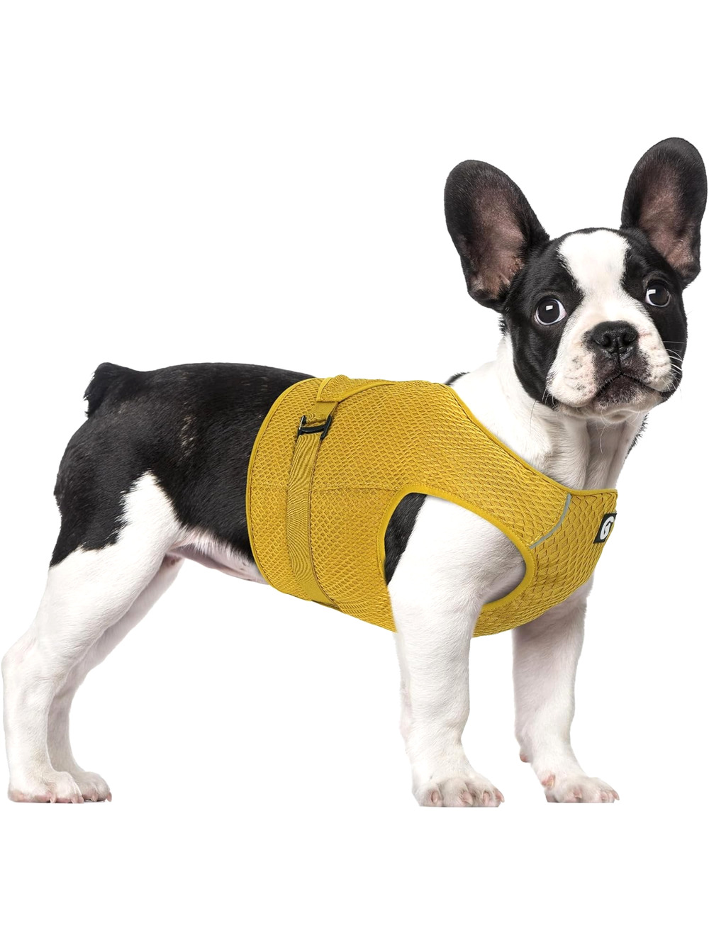 Dog Cooling Vest Harness Lightweight Cooler Jacket Sz Med w Adjustable Buckle